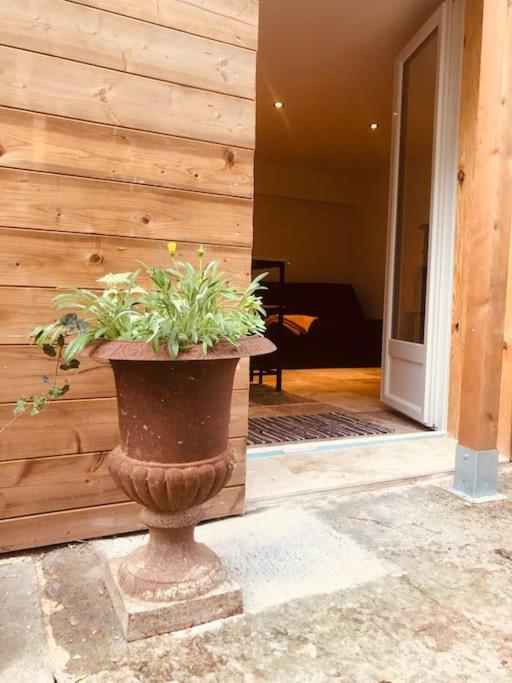 Bienvenue « A L'Ombre Du Figuier » Apartamento Pieusse Exterior foto